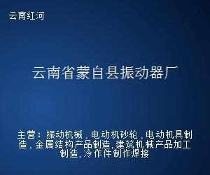 云南省蒙自县振动器厂