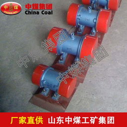 zw平板振动器报价 厂家