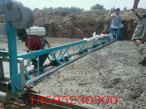 zw平板振动器报价 厂家